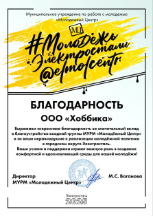 Благодарность от МУРМ «Молодежный Центр»