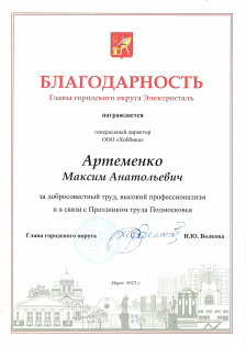 Благодарность главы г.о. Электросталь