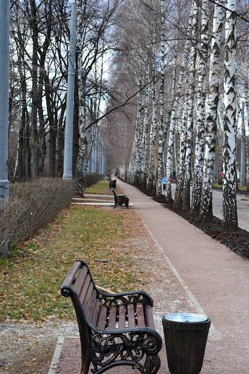 Фото отчет из парка "Сокольники" - наши работы Фото отчет из парка "Сокольники" - наши работы - 1