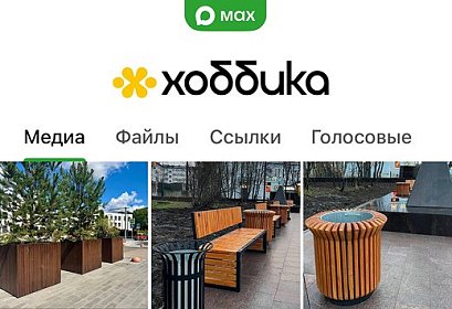 Хоббика теперь в MAX!