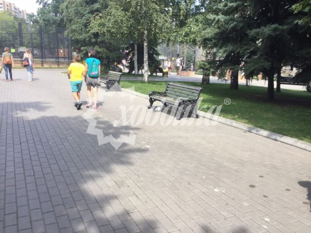 Наши скамейки в Московском Зоопарке - 2