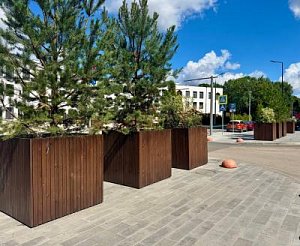 Вазон «Олеандр»