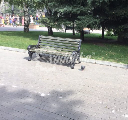 Наши скамейки в Московском Зоопарке